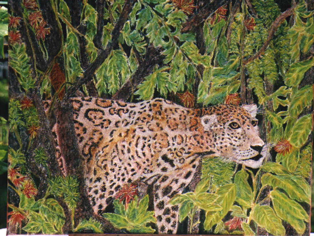 Panther, Kivu, Kongo 50x40cm Eitempera