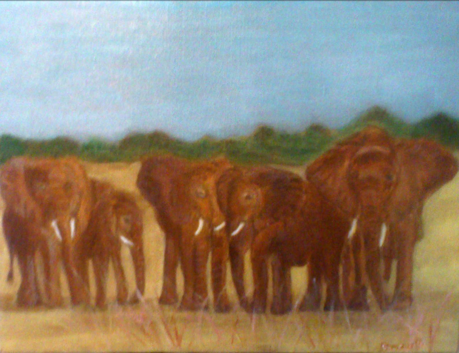 Elefantenherde im Kongo 40x30cm Öl